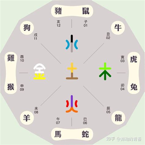 生肖狗五行|屬狗人：你們的五行是什麼？